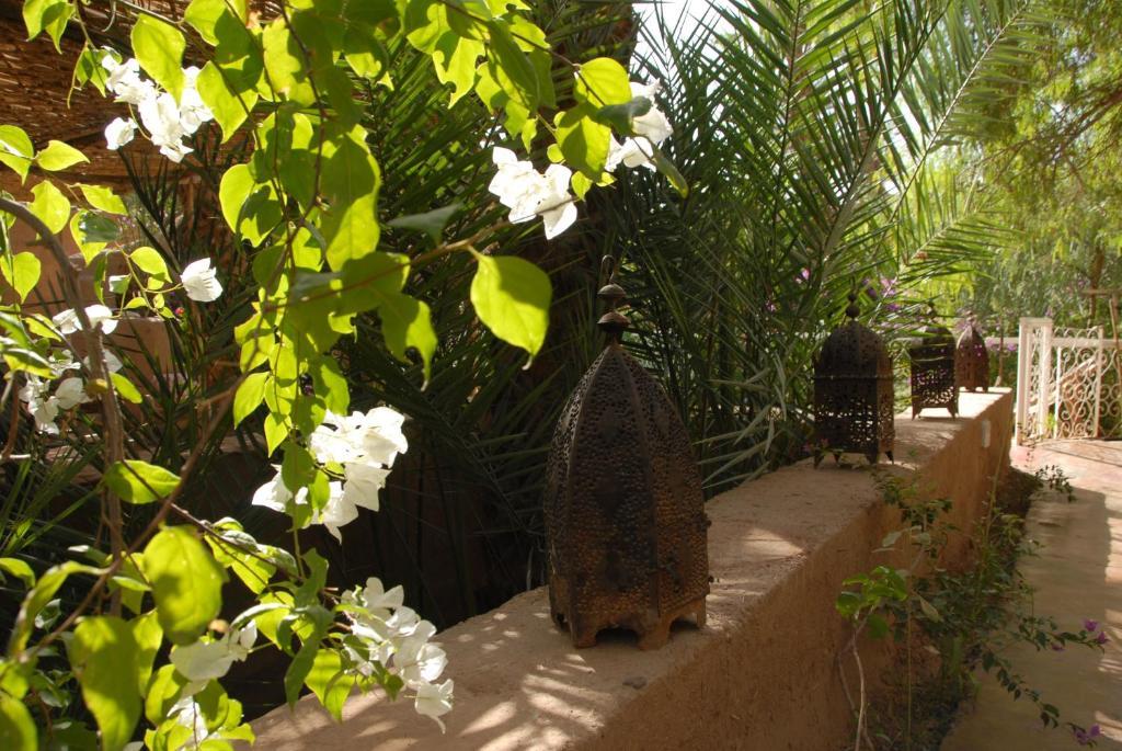 Villa Zagora Ma Villa Au Sahara Extérieur photo